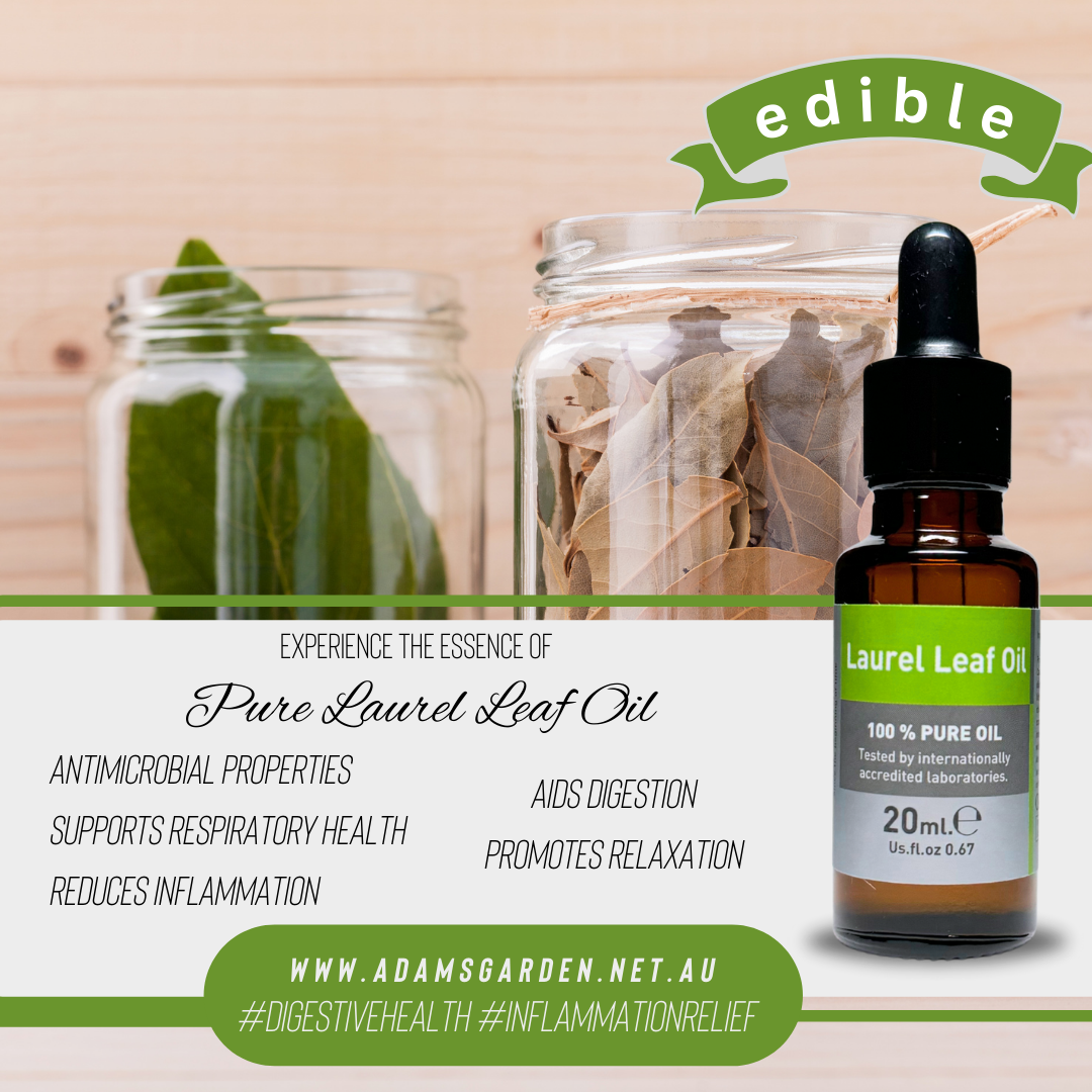 Pure Laurel Leaf Oil 20ml
