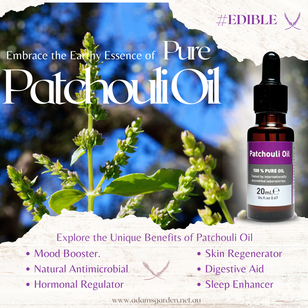 Pure Patchouli Oil 20ml