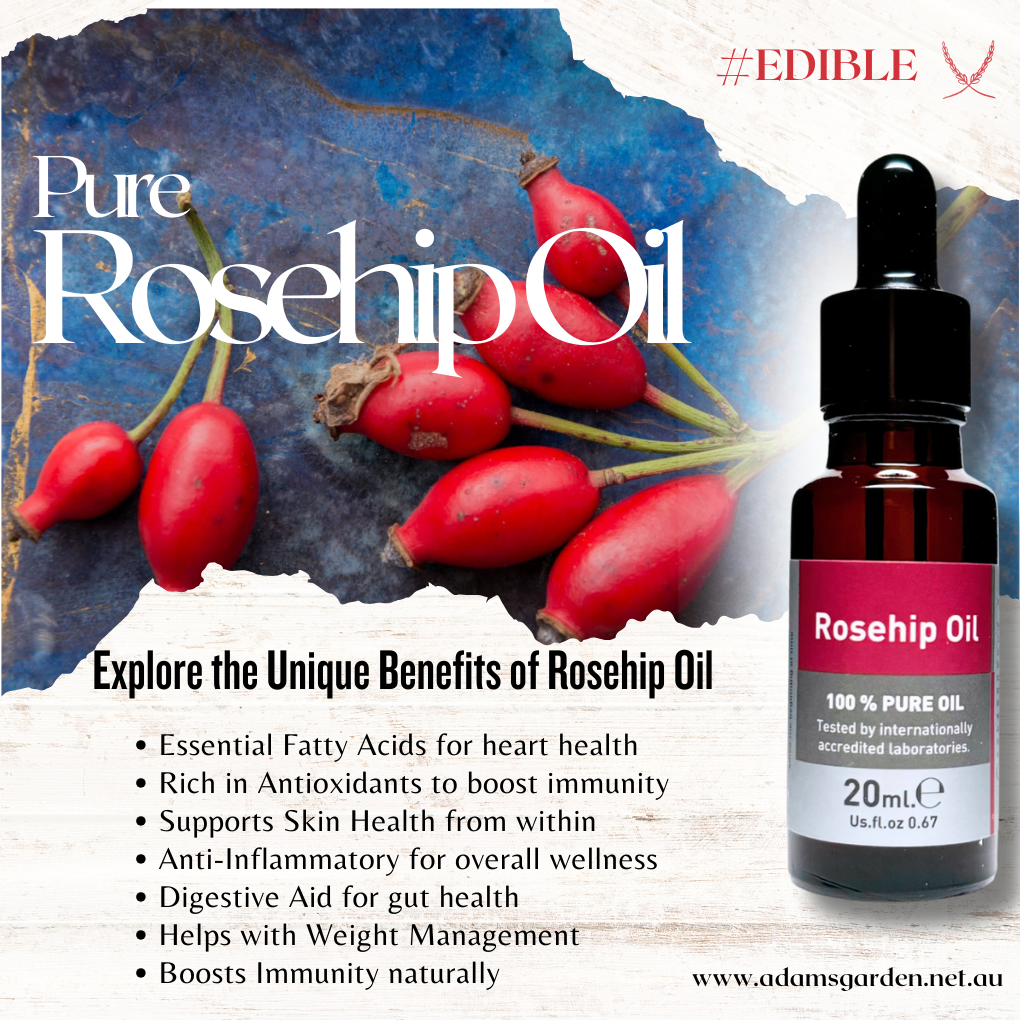 Pure Rosehip Oil 20ml