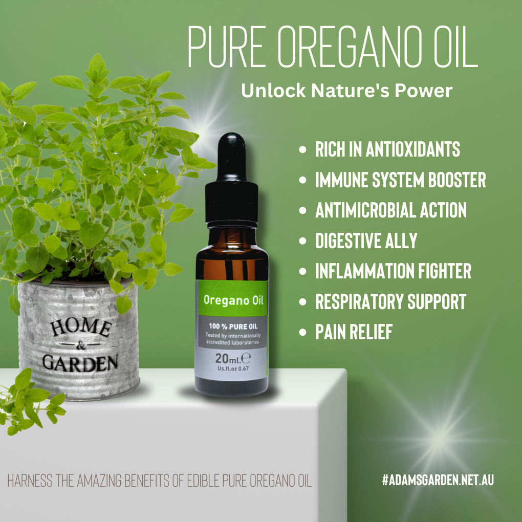 Pure Oregano Oil 20ml