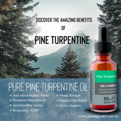 Pure Pine Turpentine Oil 50ml