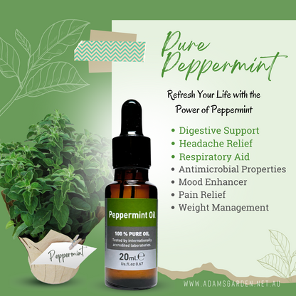 Pure Peppermint Oil 20ml